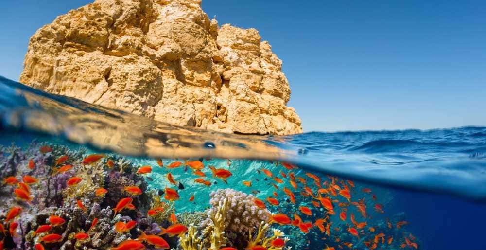 каменный остров и синее море для отдыха в Египте, золотые и разноцветные рыбки в синей воде моря